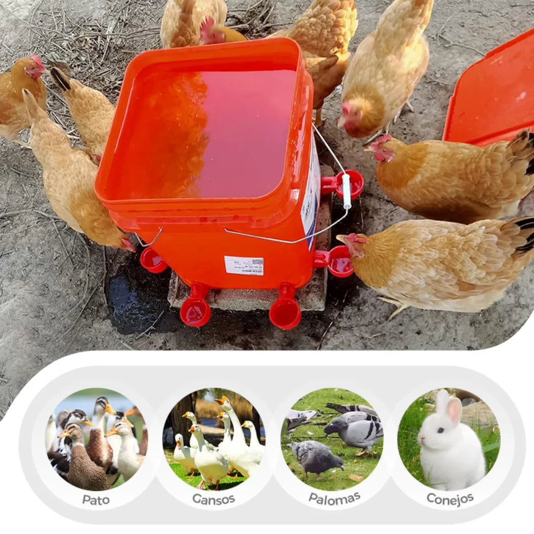 Agua Siempre Lista: Bebedero con niple para Aves