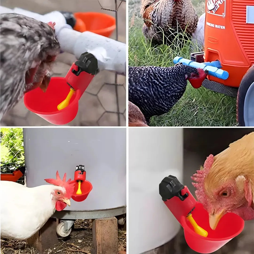 Agua Siempre Lista: Bebedero con niple para Aves