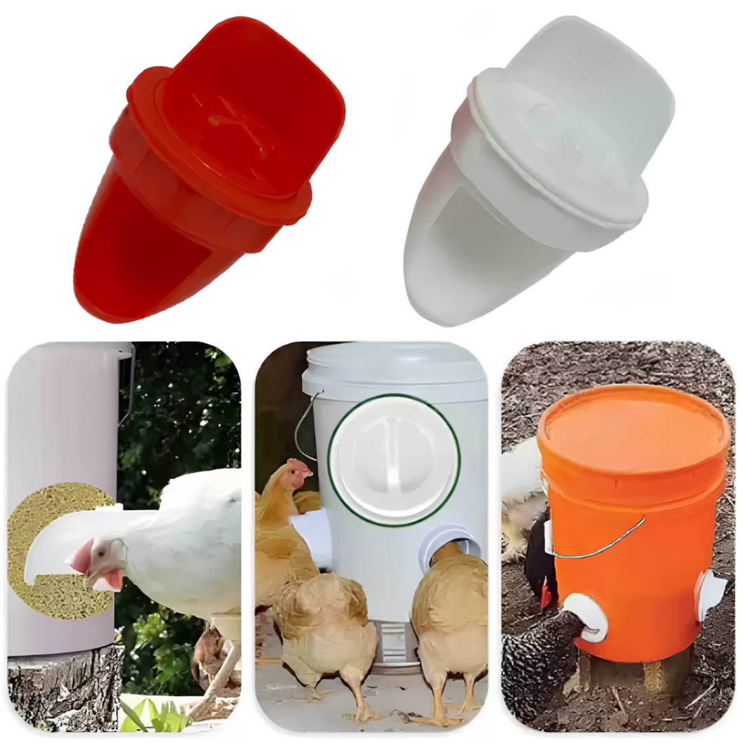 Set X 4 Comedero AutoFeed Anti-Desperdicio Para Aves de Corral