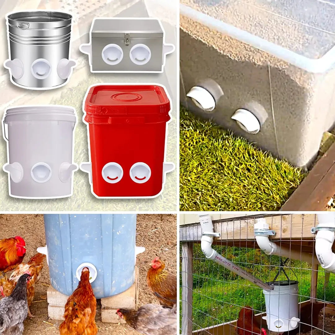 Comedero AutoFeed Anti-Desperdicio Para Aves de Corral