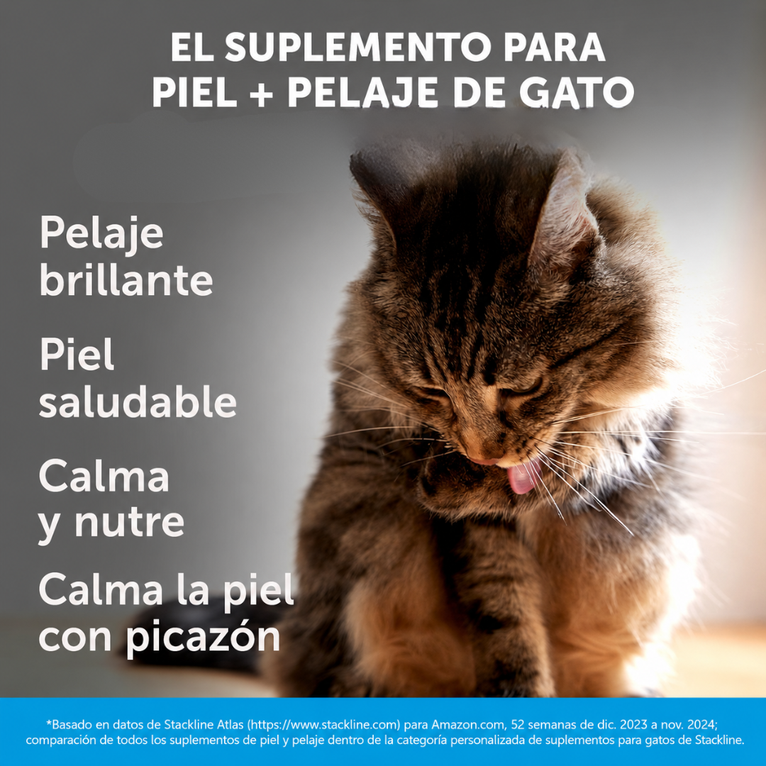 PET HONESTY: Piel más cómoda, pelaje más suave y brillante