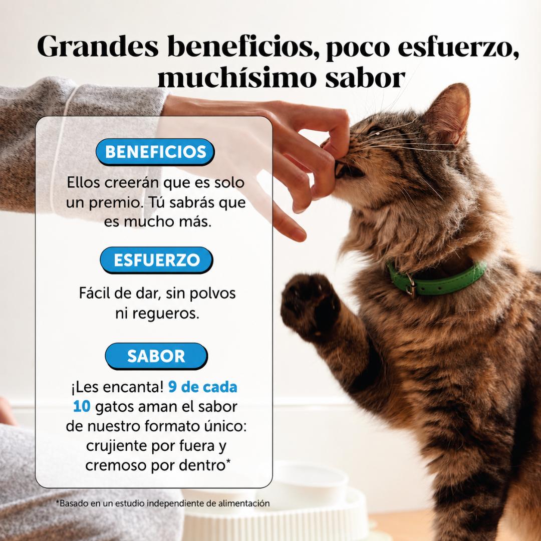 PET HONESTY: Piel más cómoda, pelaje más suave y brillante