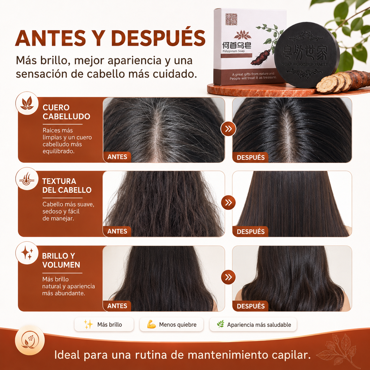 SHAMPOO COMPACTO: Menos quiebre, más fuerza y volumen